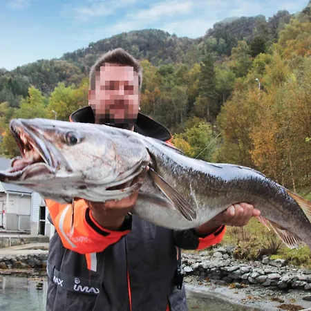 Feriehus Amazing In Nordtveitgrend