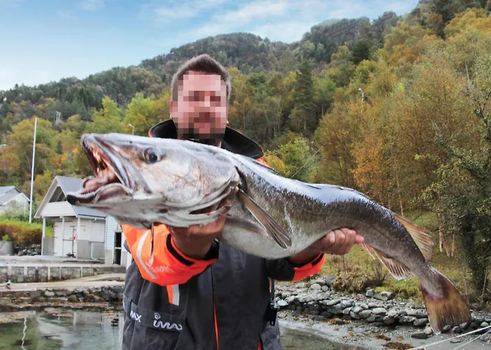 Feriehus Amazing In Nordtveitgrend